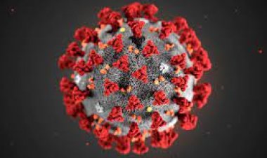 COVID-19 Impact on HIV